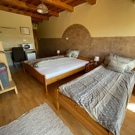 Guest house Europa Vendeghaz 3*