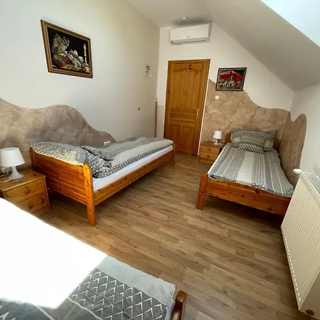 Europa Vendeghaz Zalaegerszeg