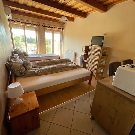 Europa Vendeghaz Guest house 3*