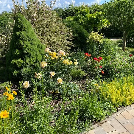 Europa Vendeghaz 3* Zalaegerszeg