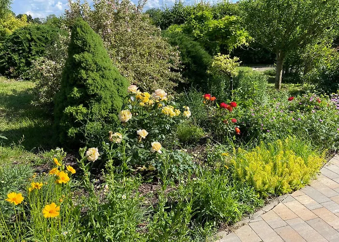 Europa Vendeghaz 3* ザラエゲルセグ